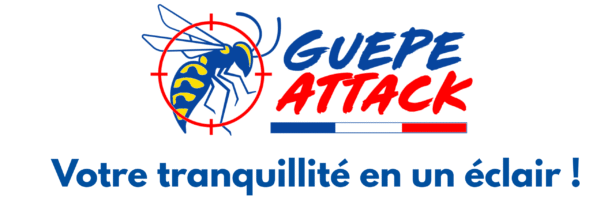 guepe-attack.com